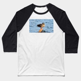 Female Mallard Duck Standing On A Block Of Wood Baseball T-Shirt